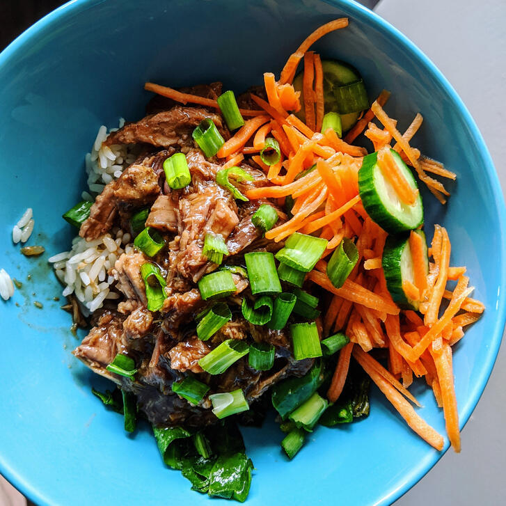 teriyaki bbq pulled pork with rice