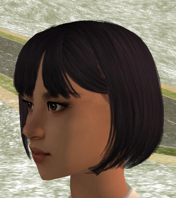 profile profile